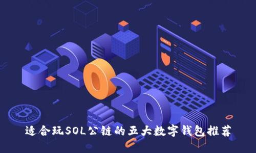 适合玩SOL公链的五大数字钱包推荐