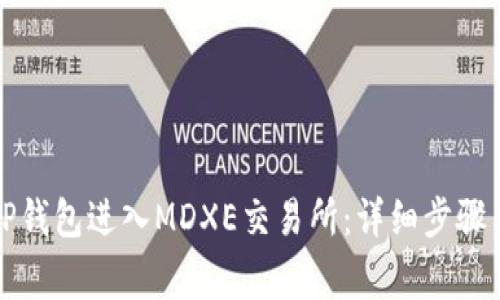 如何通过TP钱包进入MDXE交易所：详细步骤与注意事项