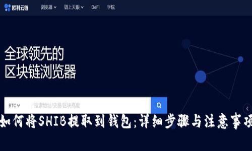 如何将SHIB提取到钱包：详细步骤与注意事项