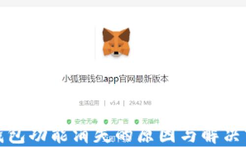 
TP钱包功能消失的原因与解决方案