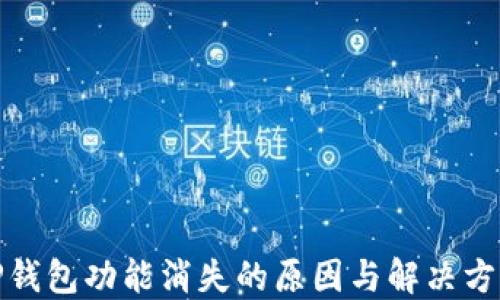 
TP钱包功能消失的原因与解决方案