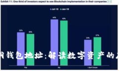 比特币与黑洞钱包地址：