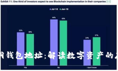 比特币与黑洞钱包地址：解读数字资产的存储与安全性