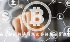 全面了解比特币钱包文件