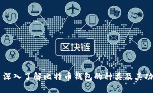 : 深入了解比特币钱包的种类及其功能