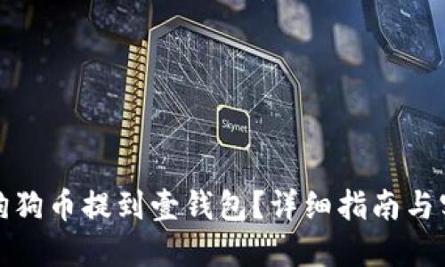 如何将狗狗币提到壹钱包？详细指南与实用技巧