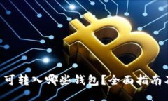 XRP币可转入哪些钱包？全