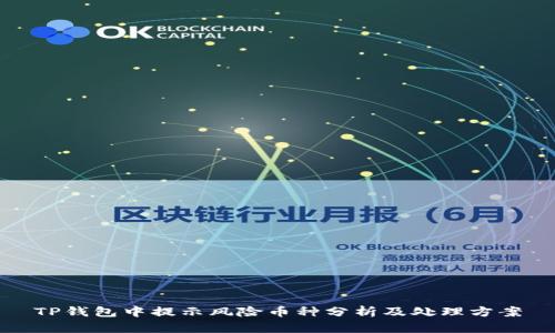 TP钱包中提示风险币种分析及处理方案