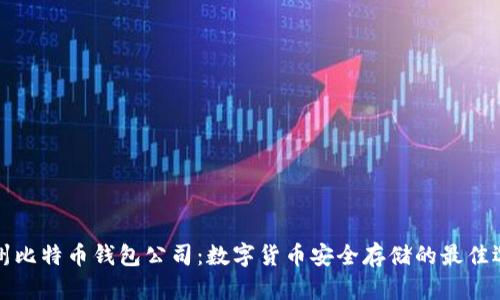 杭州比特币钱包公司：数字货币安全存储的最佳选择
