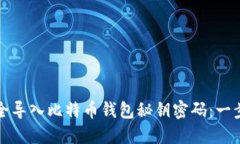 如何安全导入比特币钱包