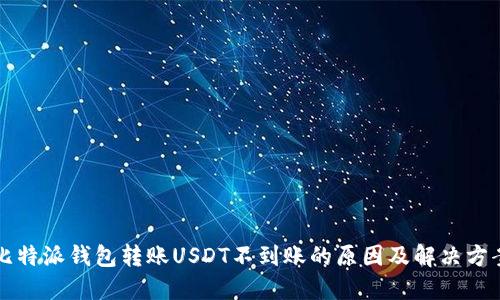 比特派钱包转账USDT不到账的原因及解决方案