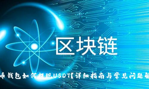 万币钱包如何提现USDT？详细指南与常见问题解答