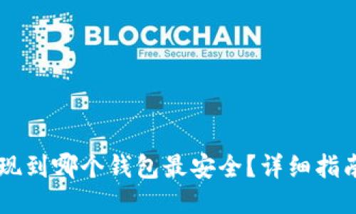 OP币提现到哪个钱包最安全？详细指南与推荐