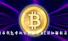 比特币钱包中的公钥是什
