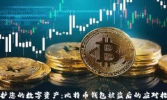 保护您的数字资产：比特