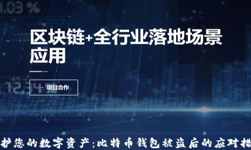 
保护您的数字资产：比特币钱包被盗后的应对措施