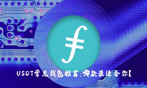 USDT常见钱包推荐：哪款最适合你？