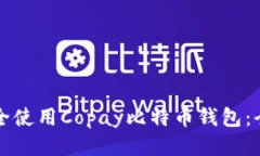 如何安全使用Copay比特币钱