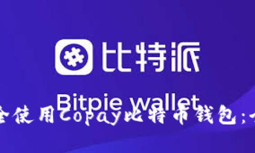 如何安全使用Copay比特币钱包：全面指南