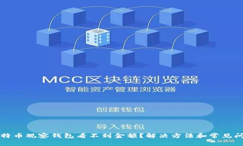 比特币观察钱包看不到金额？解决方法和常见问题