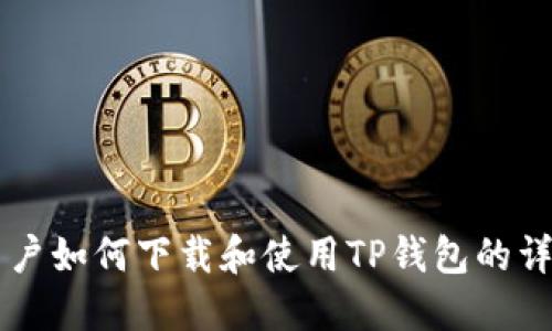 国内用户如何下载和使用TP钱包的详细指南
