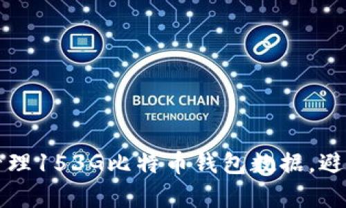 如何有效管理153G比特币钱包数据，避免用户痛点