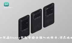 如何在Quppy钱包中安全转入