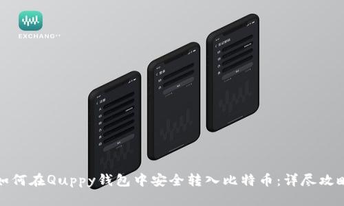 如何在Quppy钱包中安全转入比特币：详尽攻略