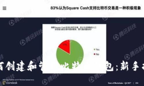 如何创建和管理比特币钱包：新手指南