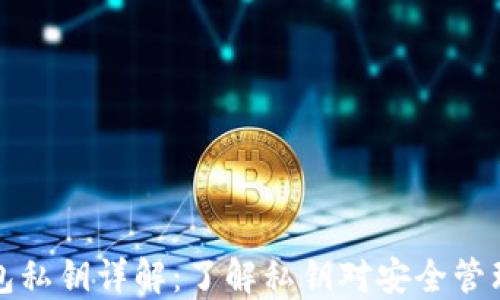 
比特币钱包私钥详解：了解私钥对安全管理的重要性