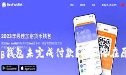 为什么你的App钱包未完成付款？揭示潜在原因与解决方案