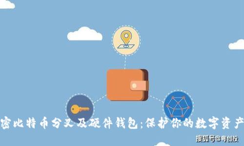 彻底解密比特币分叉及硬件钱包：保护你的数字资产新策略