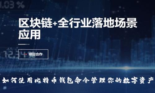 如何使用比特币钱包命令管理你的数字资产