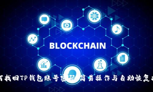 如何找回TP钱包账号密码：简易操作与自助恢复指南