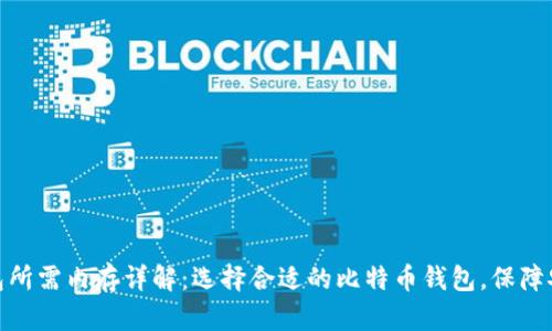 比特币钱包所需内存详解：选择合适的比特币钱包，保障安全与便捷