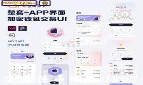 
如何在TP钱包中使用法币购买USDT：详细步骤与建议