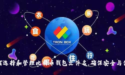 如何选择和管理比特币钱包文件名，确保安全与便捷