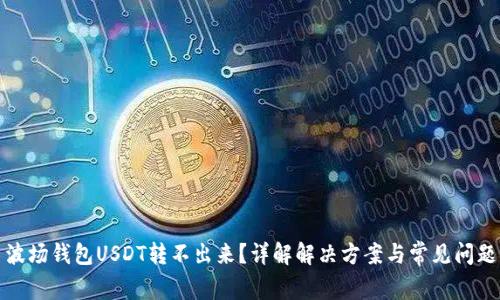 波场钱包USDT转不出来？详解解决方案与常见问题