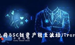 如何通过TP钱包将BSC链资产