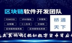 比特币钱包是真的吗？揭