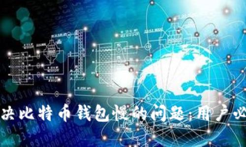 如何解决比特币钱包慢的问题：用户必读指南