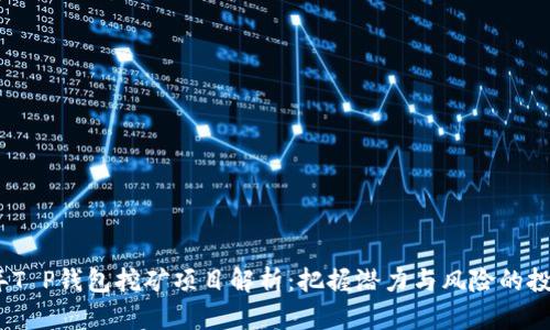 2023年T P钱包挖矿项目解析：把握潜力与风险的投资机会