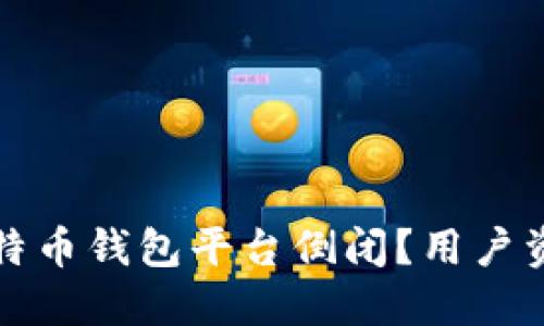 如何应对比特币钱包平台倒闭？用户资金安全指南