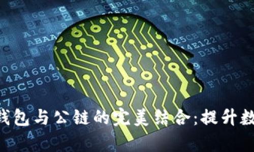 深入了解Token钱包与公链的完美结合：提升数字资产管理效率