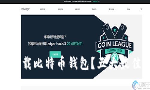 如何安全下载比特币钱包？五大最佳选择推荐