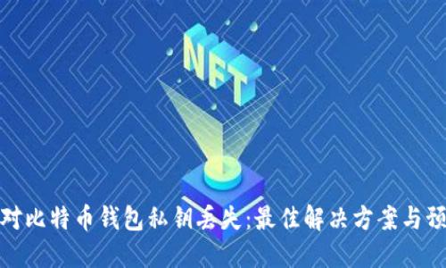 如何应对比特币钱包私钥丢失：最佳解决方案与预防措施