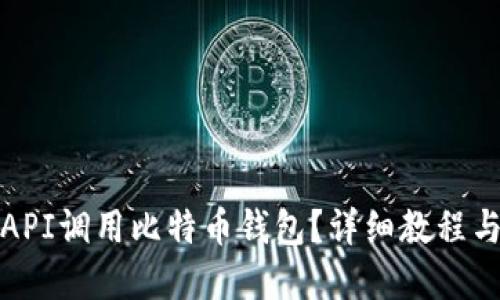 如何通过API调用比特币钱包？详细教程与实用技巧