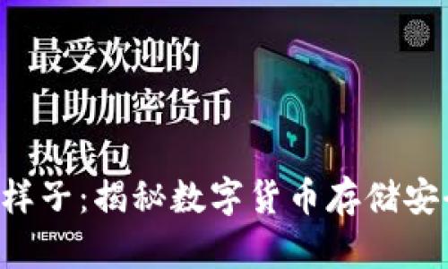 比特币钱包的样子：揭秘数字货币存储安全与使用便捷!