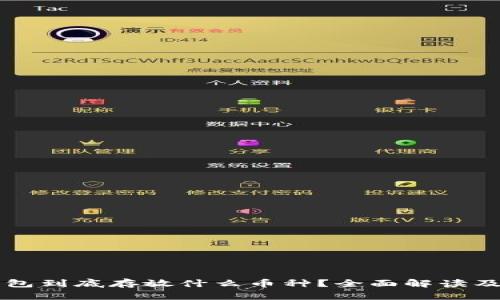 比特币钱包到底存放什么币种？全面解读及使用指南