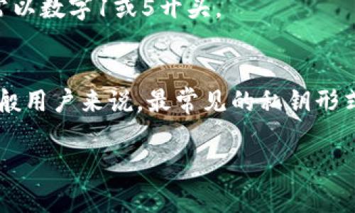 比特币钱包的私钥通常是由256位二进制数生成，经过编码后会呈现为不同格式的字符串，具体形式如下：

1. **十六进制格式**：通常为64个字符。
2. **WIF格式（Wallet Import Format）**：通常为51到58个字符，通常以数字1或5开头。
3. **Base58Check编码**：用于减少可能的错误，字符数相应会减少。

私钥的实际位数并不仅仅是字符的数量，而是其加密的安全程度。对于一般用户来说，最常见的私钥形式就是上述的这些字符串格式，而它们本质上代表的是一个256位的密钥。

如果你还有其他具体问题或者需要更深入的解释，欢迎提出！